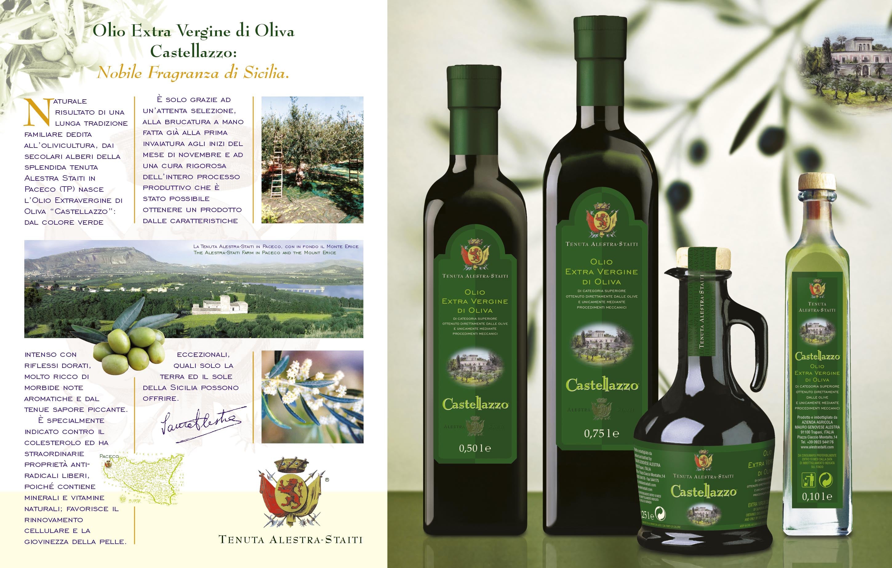 Latta 5 litri olio extravergine biologico di oliva 2025